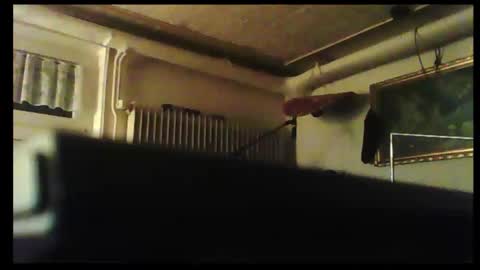 hot n  nasty online show from December 8, 2024, 3:24 pm