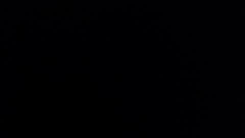 Nicole online show from March 4, 2025, 4:17 am