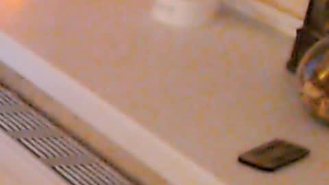 Heaven girl online show from January 4, 2025, 2:14 am