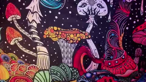 Snapshot of hecate_and_crow chatting on February 26, 2025, 7:42 am online show from February 26, 2025, 7:42 am