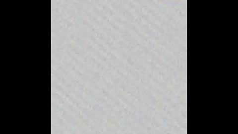 Snapshot of hecate_and_crow chatting on November 9, 2025, 1:37 am online show from November 9, 2025, 1:37 am