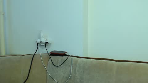 helen_adams_ online show from January 6, 2025, 8:57 am