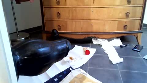 helisporty online show from November 14, 2025, 8:13 am