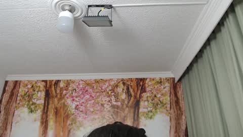 Hellen online show from December 19, 2024, 2:13 pm