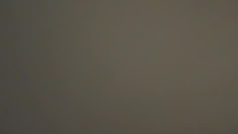 hellohowareyou66 online show from January 19, 2025, 4:01 am