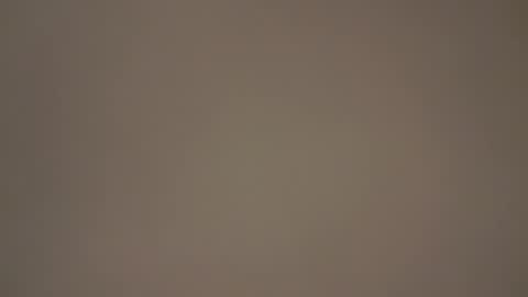 hellohowareyou66 online show from March 5, 2025, 4:57 pm