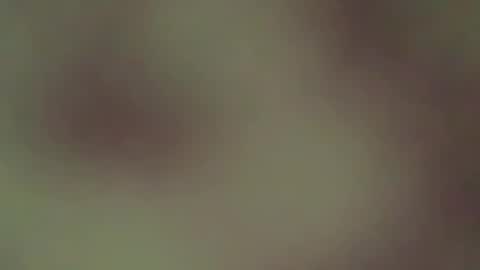 hellohowareyou66 online show from April 21, 2026, 3:57 am