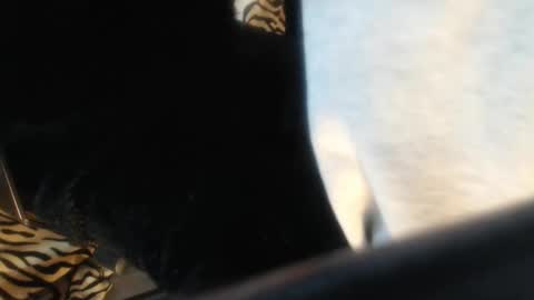 Helvell online show from April 13, 2026, 11:05 am