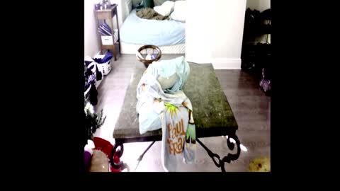 HenryFlapper online show from January 4, 2025, 7:44 pm