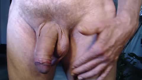 Snapshot of herbie_222 chatting on May 20, 2026, 1:17 pm Herbie online show from May 20, 2026, 1:17 pm
