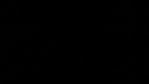 herkimer95 online show from January 5, 2025, 11:01 pm