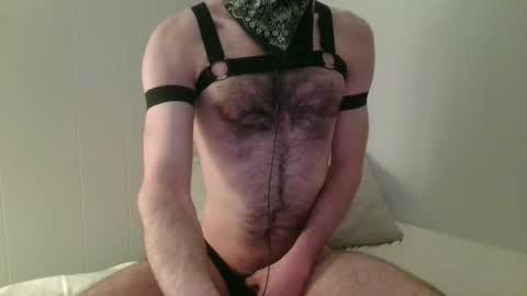 Snapshot of hex_otter chatting on March 1, 2026, 5:20 am Hector or Hex for short online show from March 1, 2026, 5:20 am