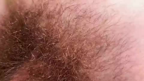 Arnold online show from December 2, 2025, 9:21 pm