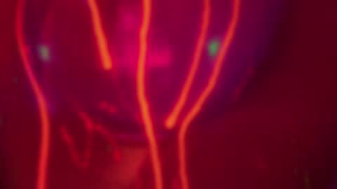 Alina online show from December 14, 2024, 7:25 pm