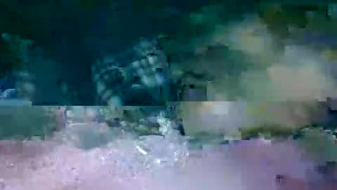 Snapshot of hi_life850 chatting on February 17, 2026, 1:13 am MR. Bation online show from February 17, 2026, 1:13 am