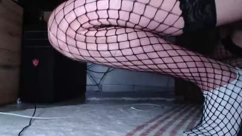 InMyAss online show from December 16, 2025, 3:11 am