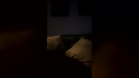 Drake online show from February 9, 2026, 6:50 am