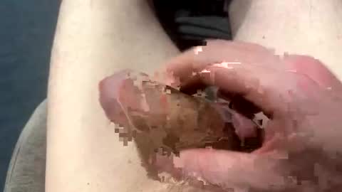 higradez online show from March 24, 2026, 7:52 pm