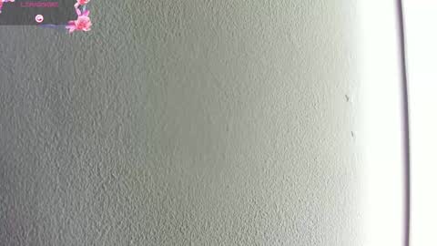 Hilary Thomsom online show from January 10, 2026, 11:56 am