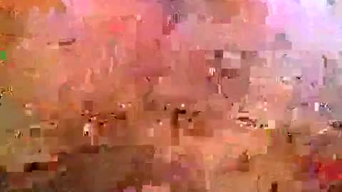 midwestchamp online show from April 25, 2026, 10:51 am