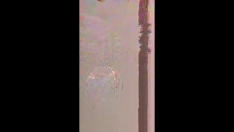 hoglegg99384194 online show from April 20, 2026, 9:56 am