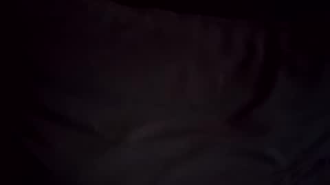 hoioi197777 online show from November 12, 2025, 6:36 am