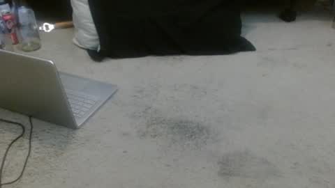 Holly Hawkes online show from January 13, 2026, 10:59 pm