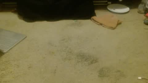 Holly Hawkes online show from April 17, 2026, 12:30 pm