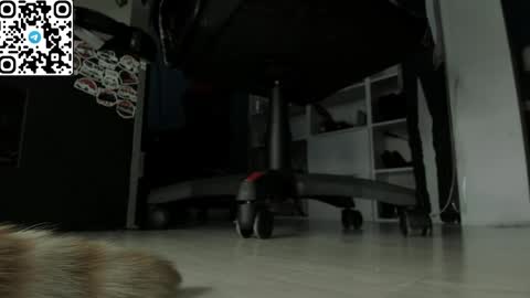 holy_mistresss online show from April 19, 2026, 7:40 am