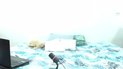 Holycode online show from February 2, 2025, 10:57 am