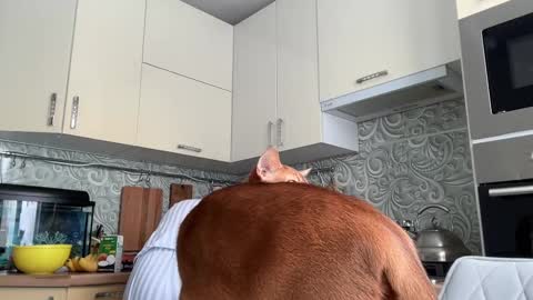 dori not holy get my tg channel with link from description under last photo online show from February 10, 2025, 8:53 am