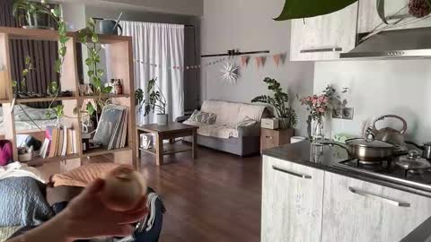 dori not holy get my tg channel with link from description under last photo online show from March 8, 2026, 10:08 am