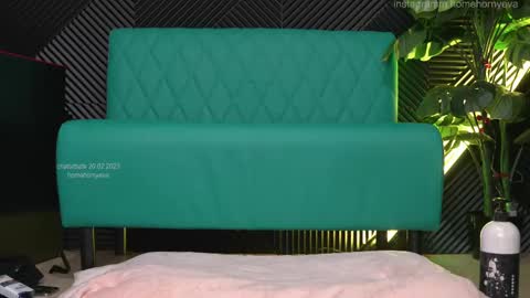 homehornyeva online show from February 19, 2025, 11:25 pm