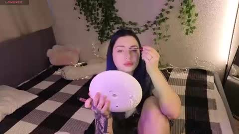 Honey online show from June 17, 2026, 1:41 am