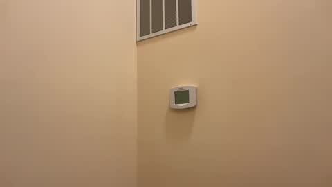 honey_man14 online show from February 19, 2025, 6:32 pm