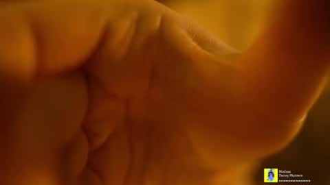 Horney Jozy online show from November 7, 2025, 6:52 pm