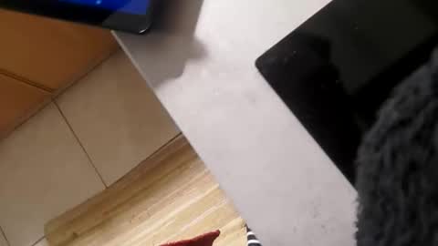 Jan online show from October 26, 2025, 4:46 pm