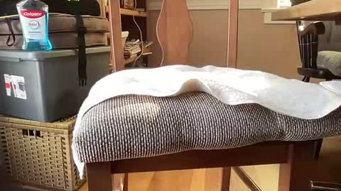 HornyThumb online show from January 11, 2026, 6:02 pm