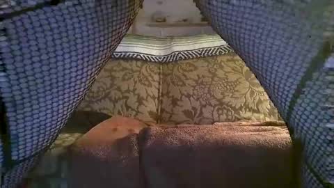 Snapshot of hot2nite22 chatting on February 10, 2026, 10:19 am hot2nite22 online show from February 10, 2026, 10:19 am