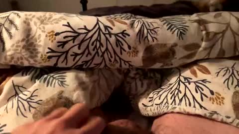 hot_for_you_ online show from October 18, 2025, 12:57 am