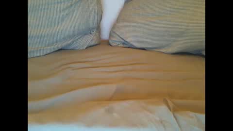 Lars online show from March 1, 2025, 11:26 pm