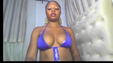 Stella online show from May 20, 2026, 6:08 am