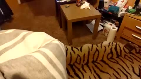 hotboy69735953 online show from March 15, 2026, 9:10 pm