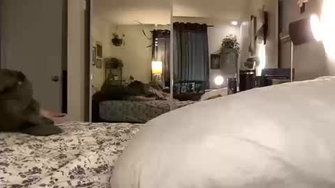 Annabelle online show from October 14, 2025, 12:00 am