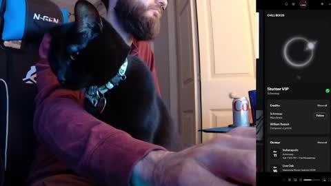 hotpumpkinpies online show from April 5, 2026, 2:31 am