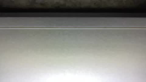 Jack online show from February 5, 2025, 3:23 am