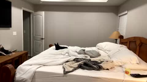 hottiewithabody101 online show from November 11, 2025, 6:30 pm