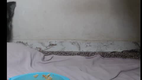 hottylissa1 online show from September 26, 2025, 8:35 pm