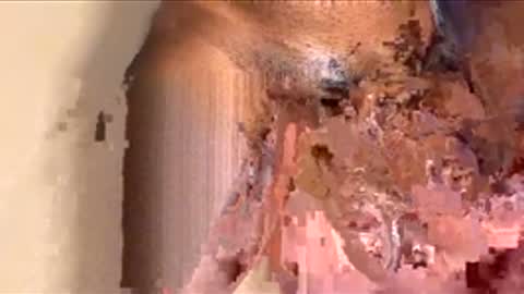 houseesposo online show from November 24, 2025, 9:36 pm