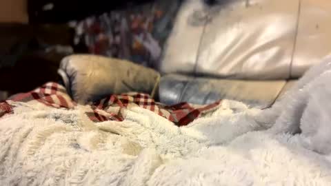 ask me online show from October 11, 2025, 3:06 am